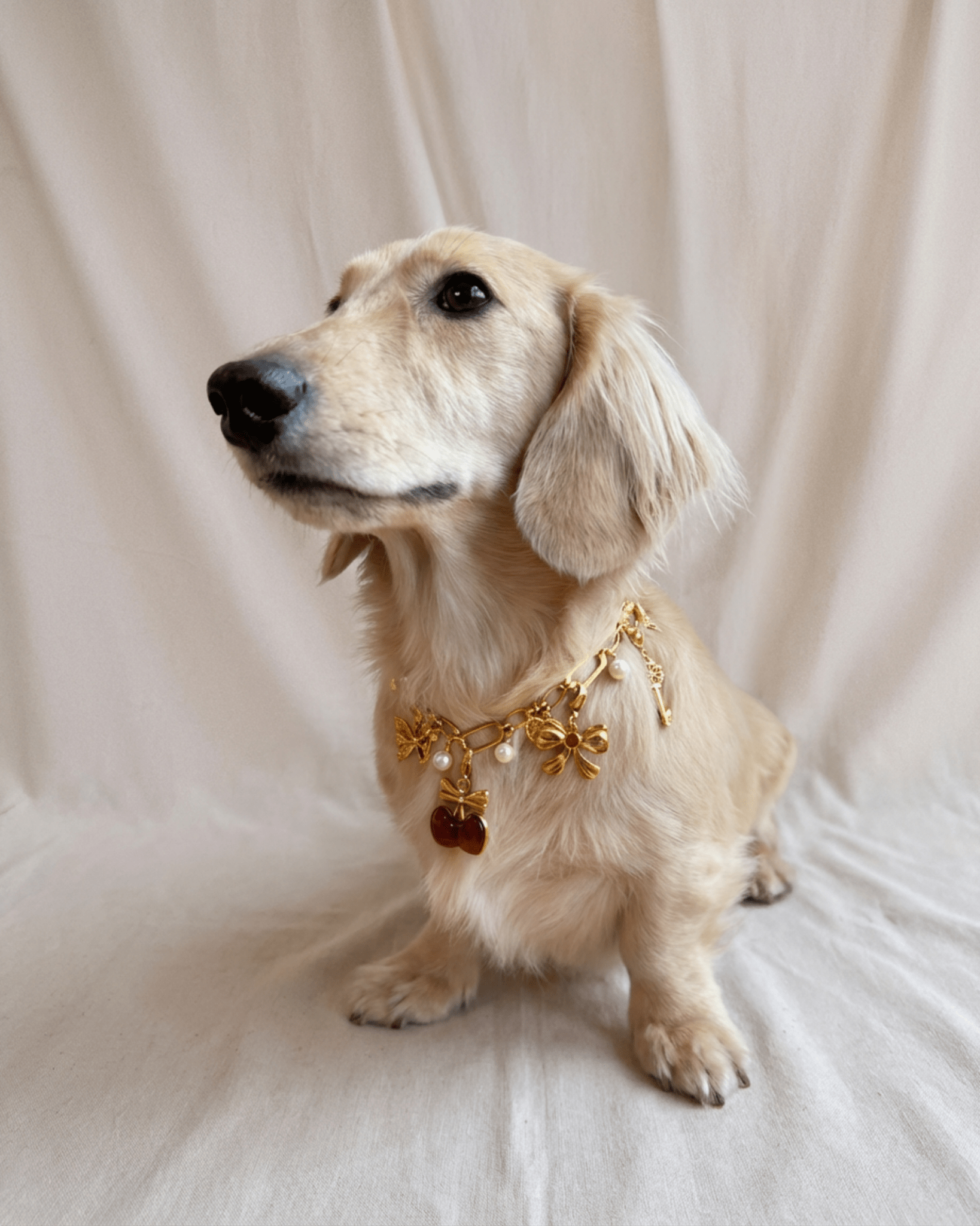 Cherry Charm Pack - FURRY MUSE FW25-CH-OS-RD