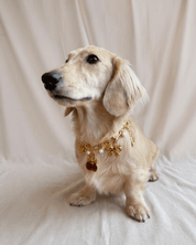 Cherry Charm Pack - FURRY MUSE FW25-CH-OS-RD