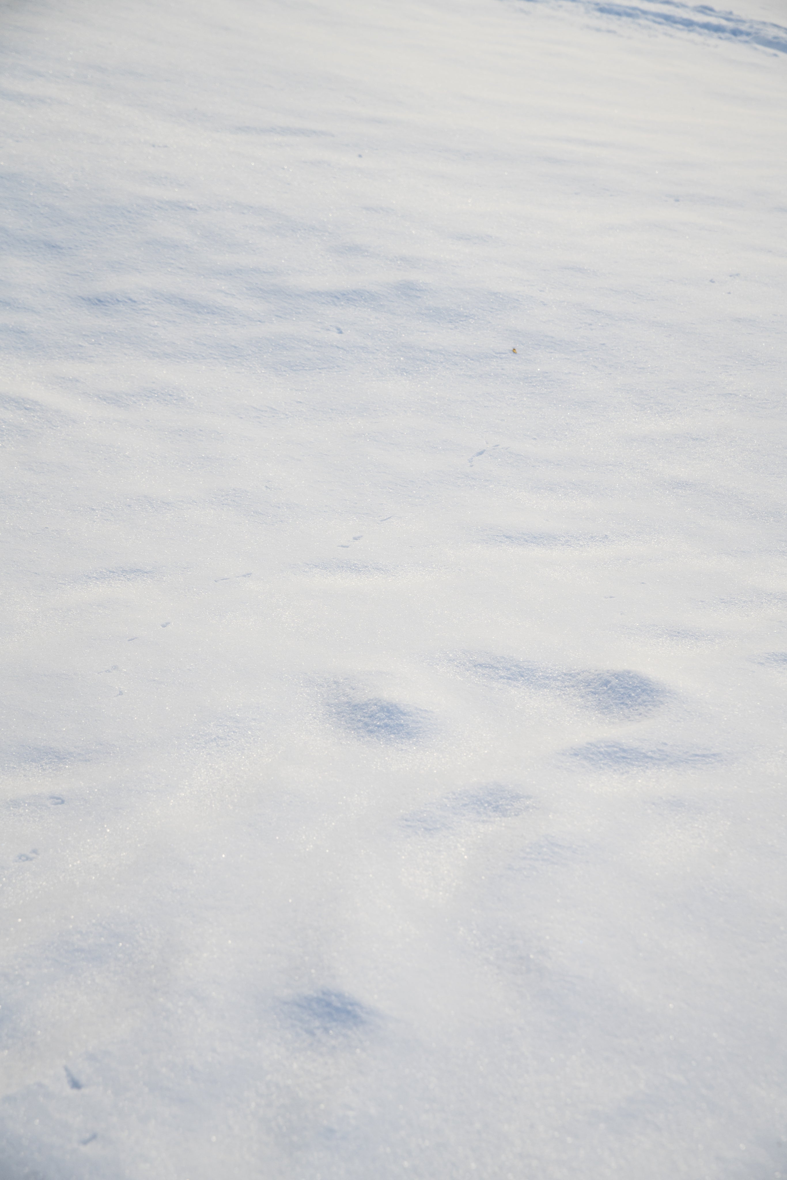 clean-white-snow-ground.jpg