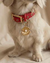 Dreamshell Pendant - FURRY MUSE FW25-DT-OS-SH