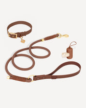 Flow Rope Leash and Collar Kit - Cocoa - FURRY MUSE FLOW-CKIT-S-BR