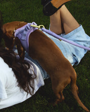 Flow Rope Leash - Lilac - FURRY MUSE WAN-LEA2-10MM-LI