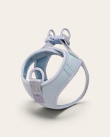 Step and Go Harness - Sky