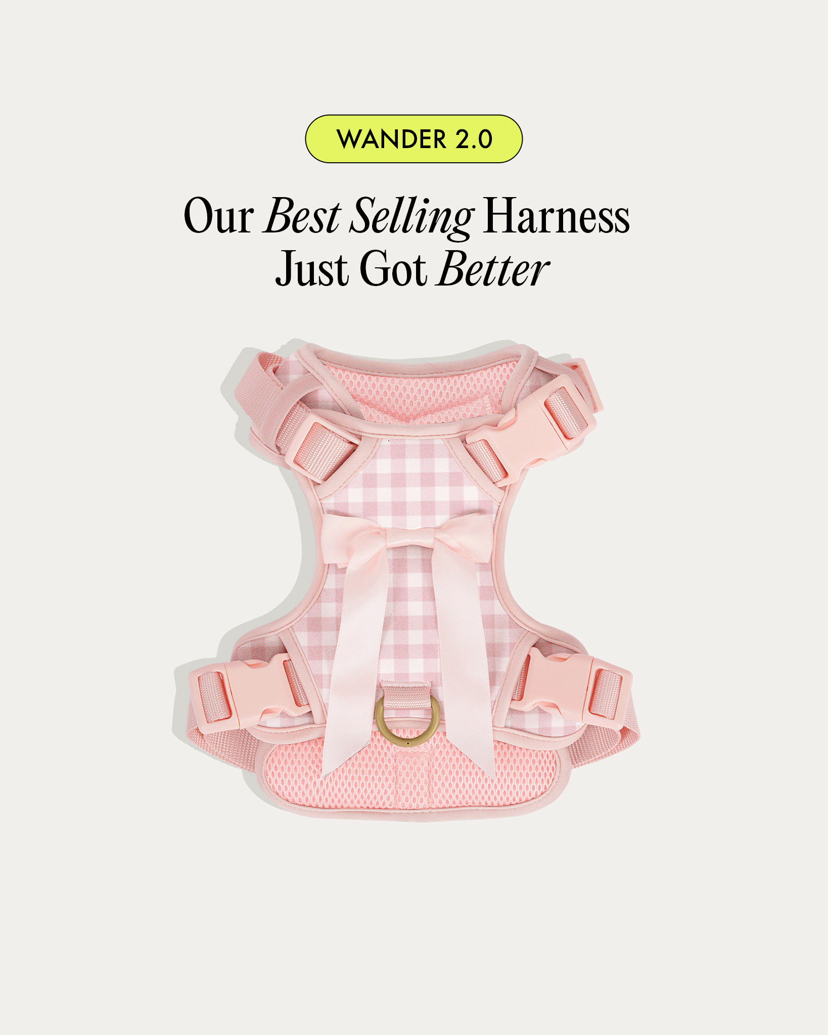 furry-muse-our-best-selling-harness-got-better.gif