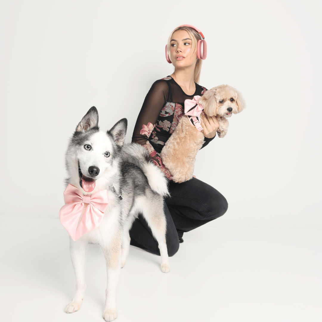 Furry Muse Starter Kit - Ballerina - FURRY MUSE Merry - Kit - BK - XS - S