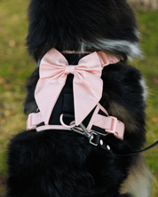 Furry Muse Starter Kit - Ballerina - FURRY MUSE Merry - Kit - BK - XS - S