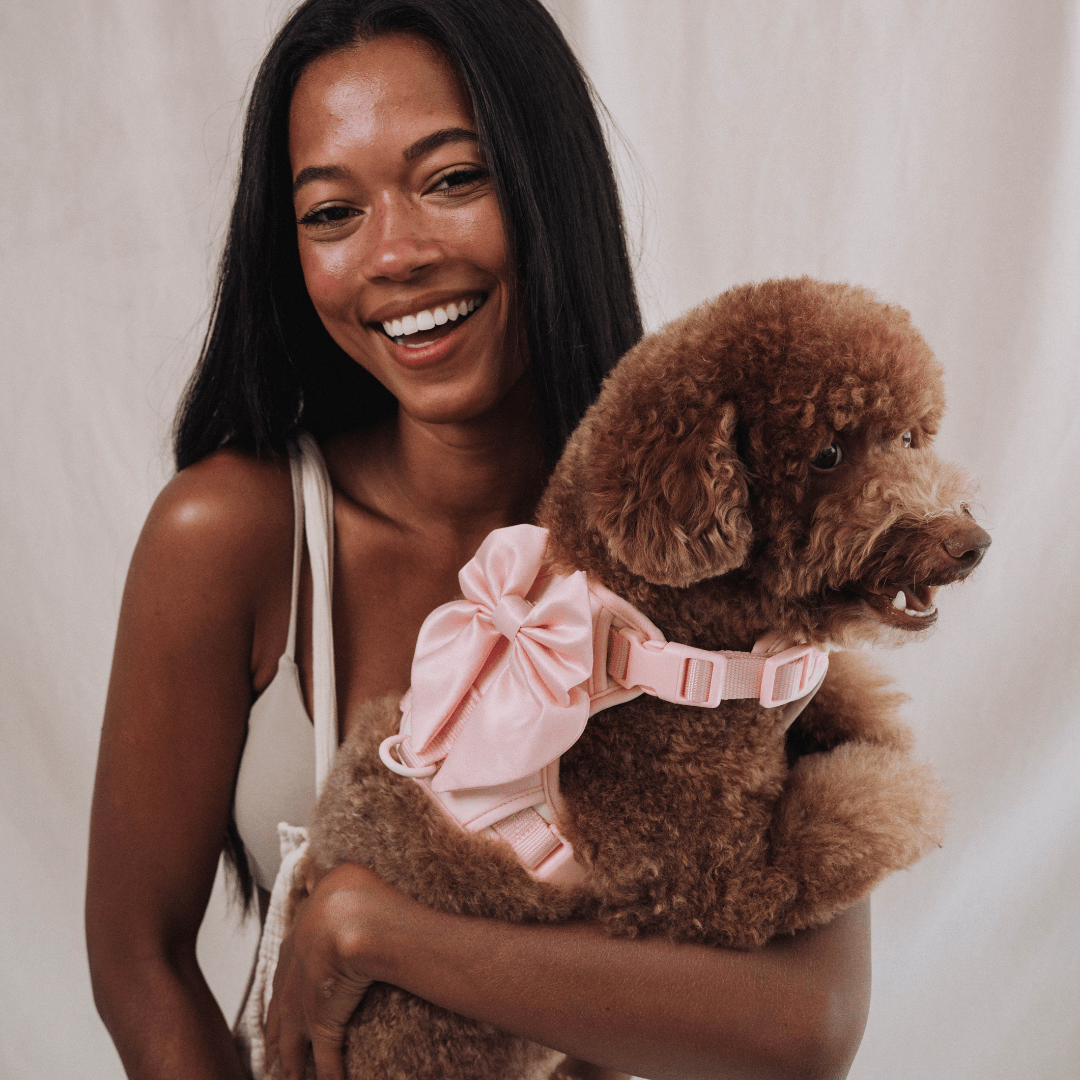 Furry Muse Starter Kit - Blossom - FURRY MUSE Merry - Kit - PN - XS - S