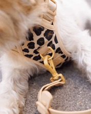 Furry Muse Starter Kit - Leopard - FURRY MUSE STARTER - KIT - LEO - XS - S