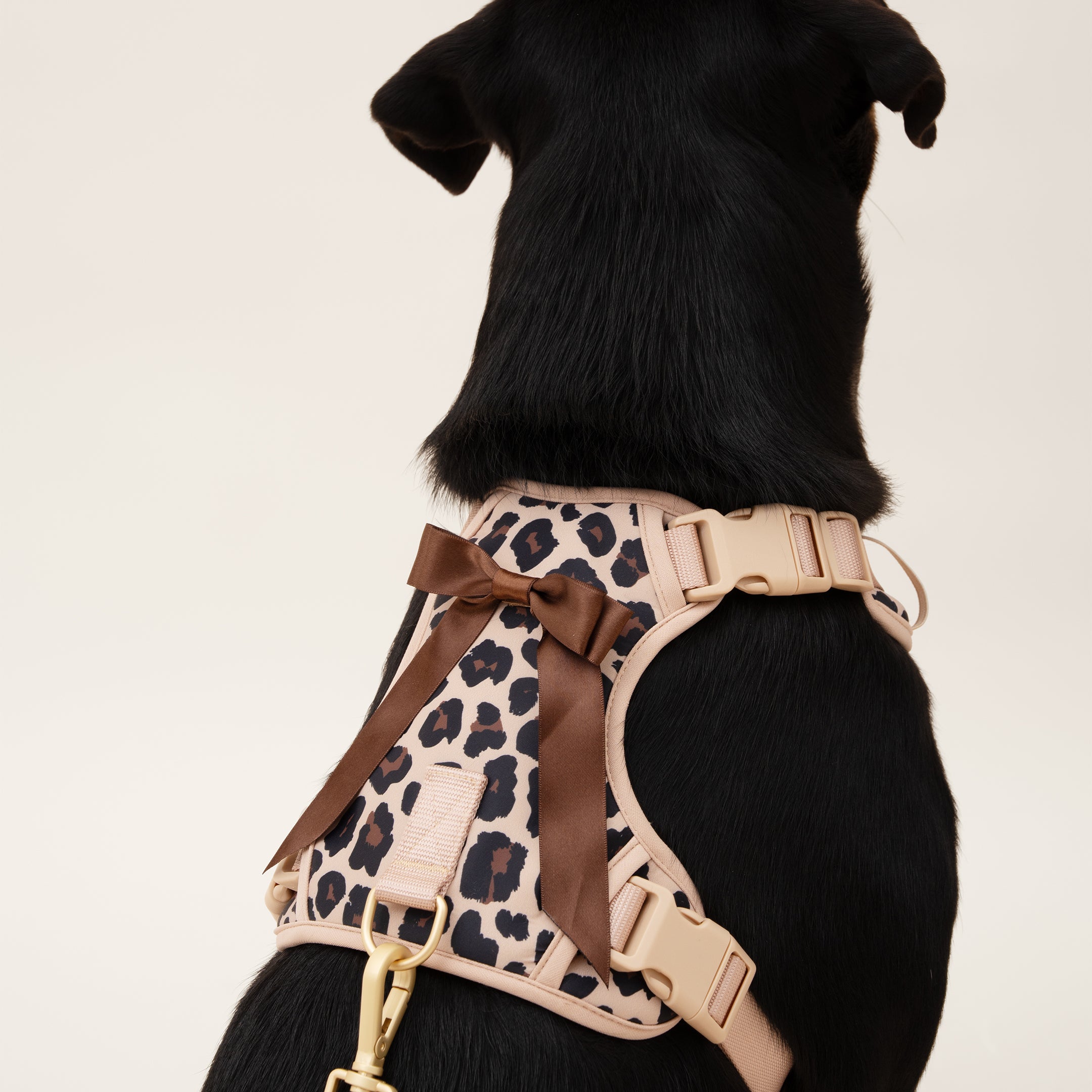 Furry Muse Starter Kit - Leopard - FURRY MUSE STARTER - KIT - LEO - XS - S