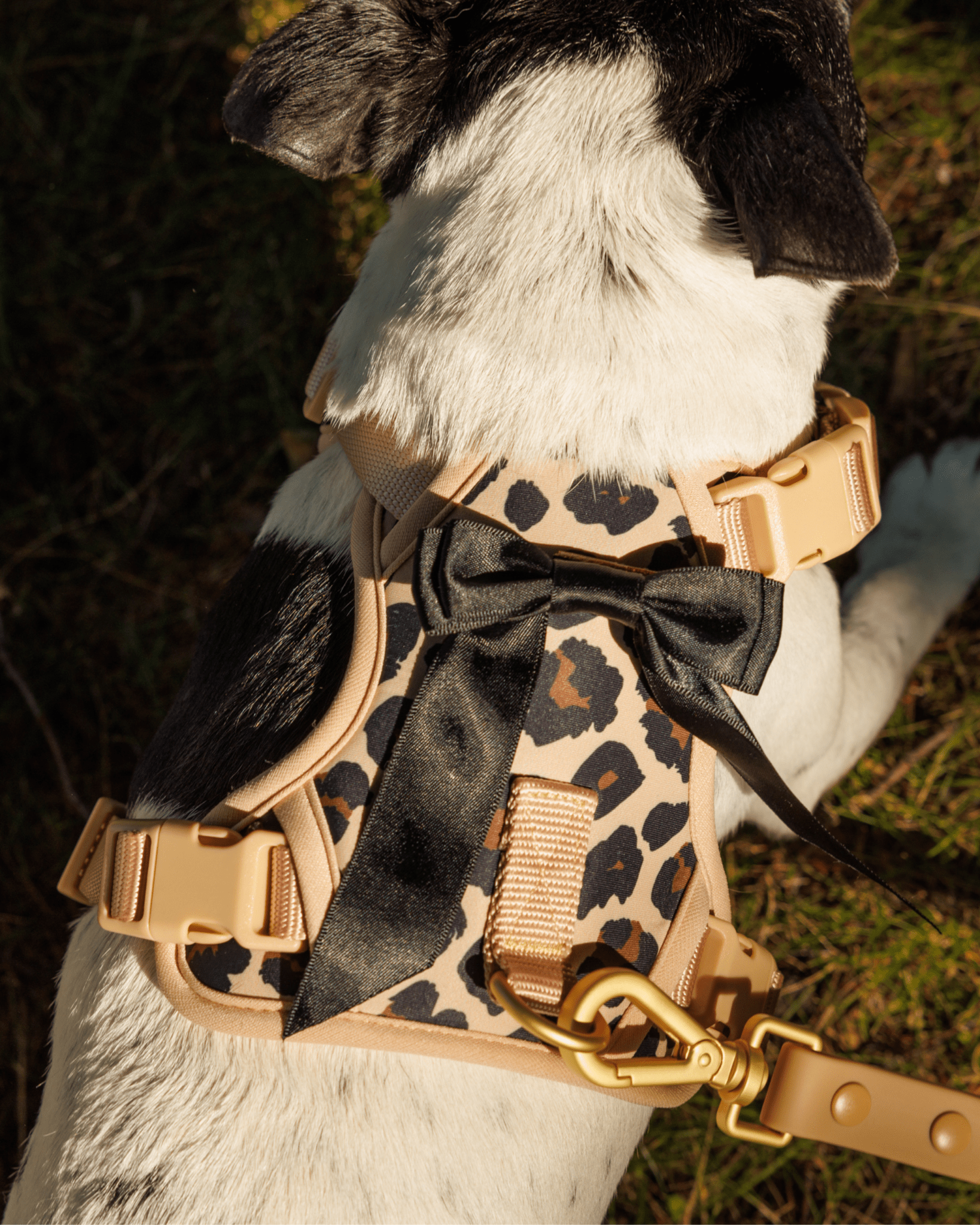 Furry Muse Starter Kit - Leopard - FURRY MUSE STARTER - KIT - LEO - XS - S