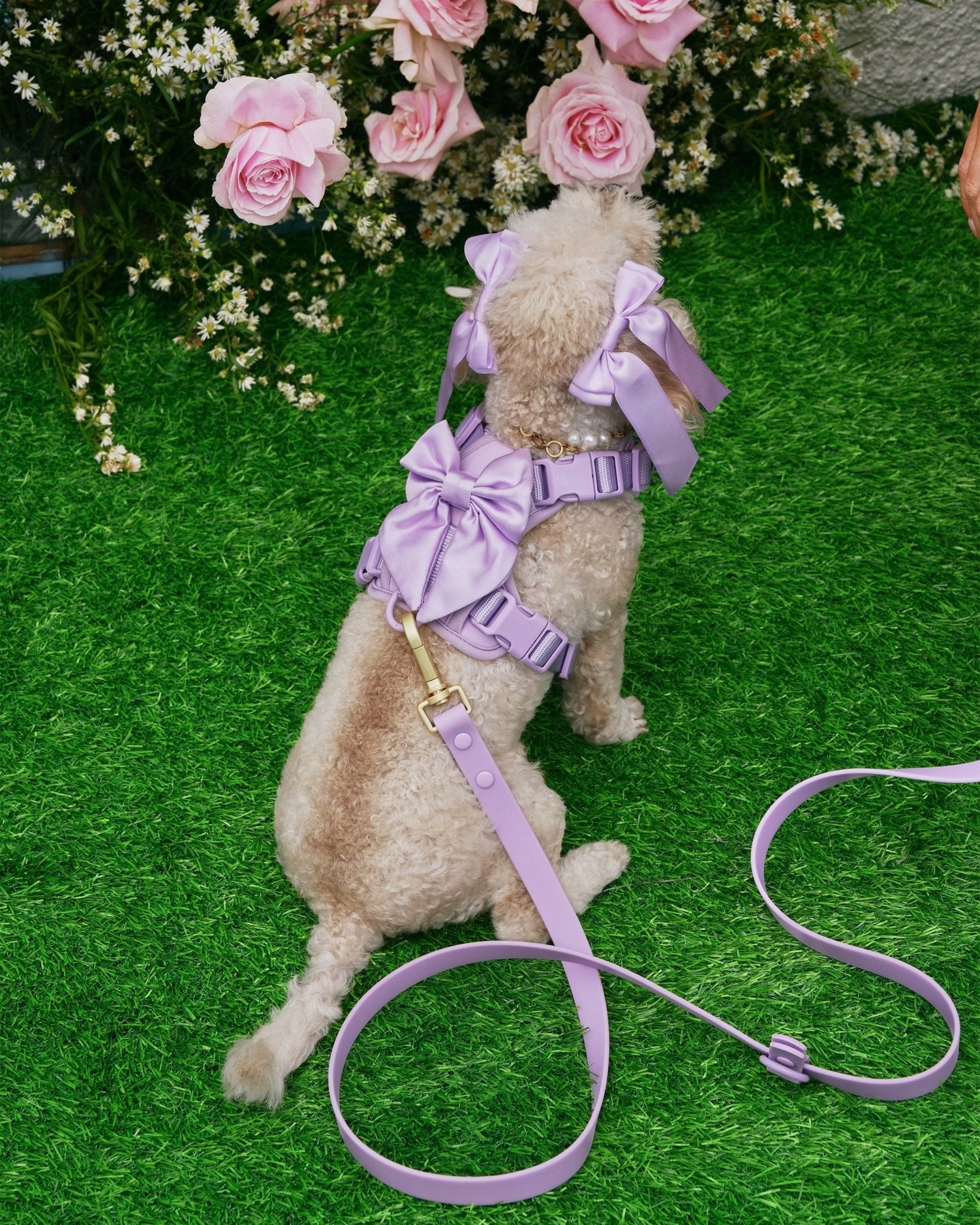Buy Dog Poop Bag Holder- Wander! Blossom Poop Bag Pouch – FURRY MUSE