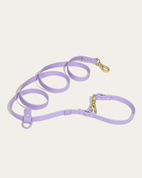 Wander! Multiway Lead - Lilac - Lilac / Gold / 6FT (Regular)