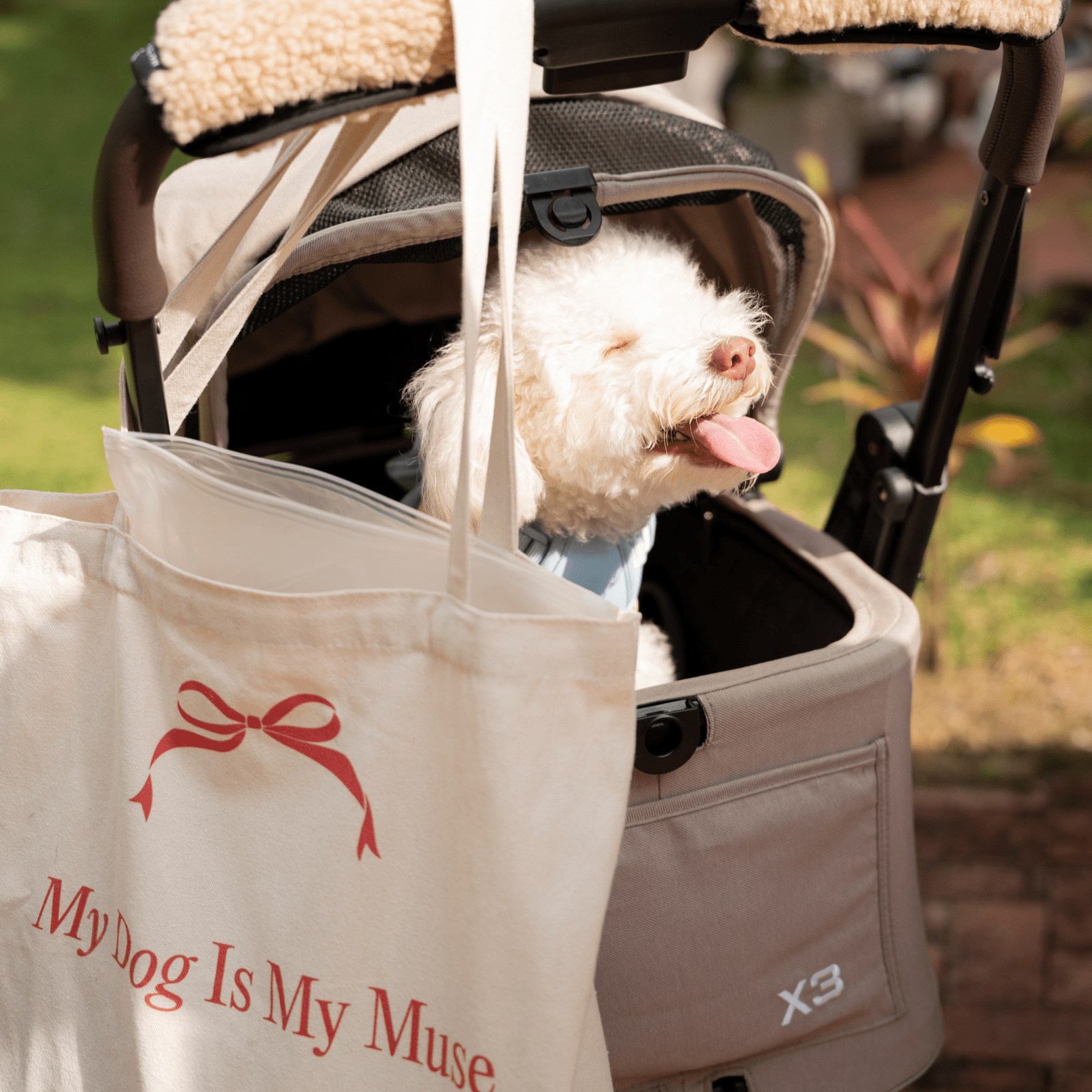 Furry Muse Tote Bag - FURRY MUSE