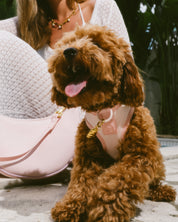 Step and Go Harness - Blossom