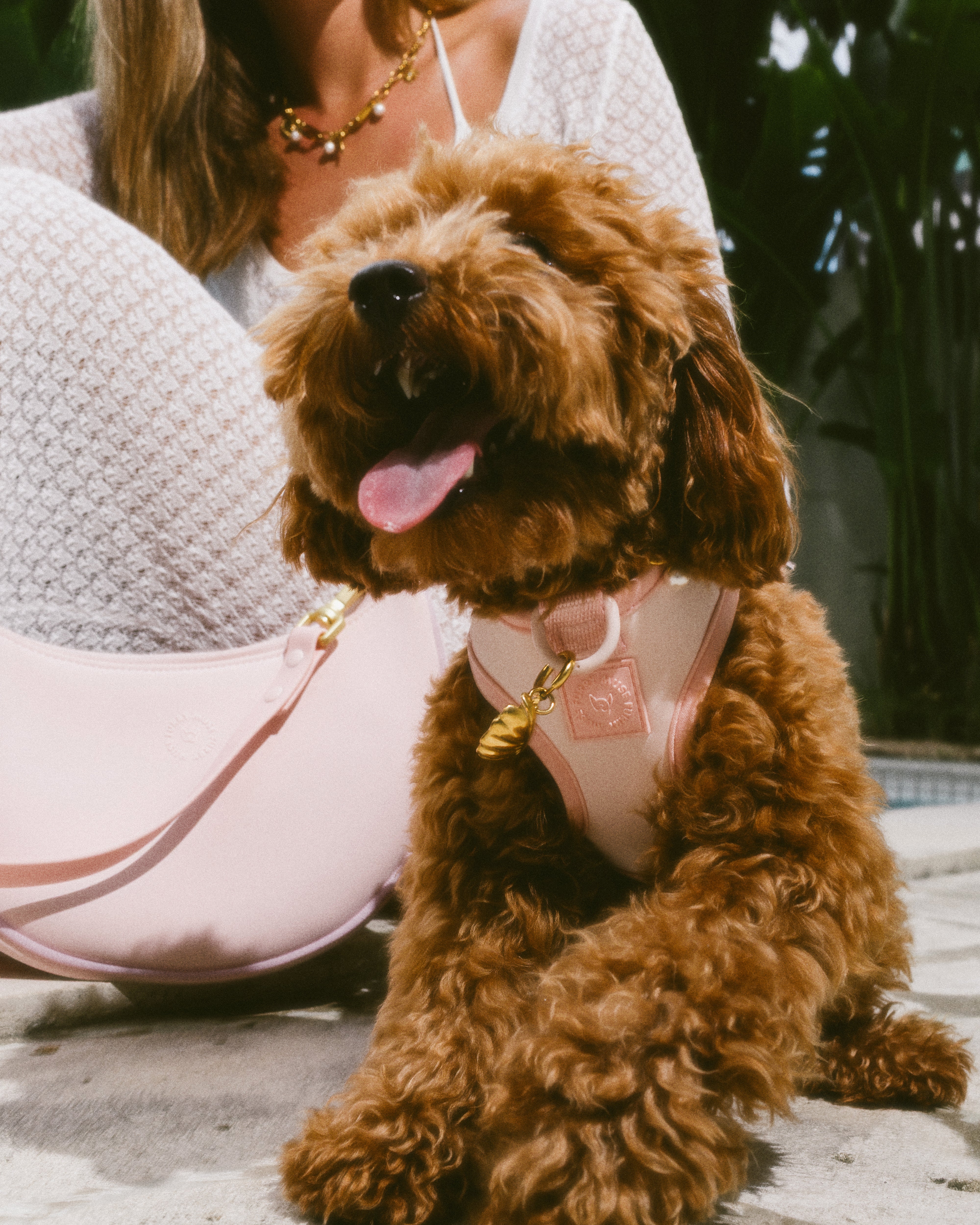 Step and Go Harness - Blossom
