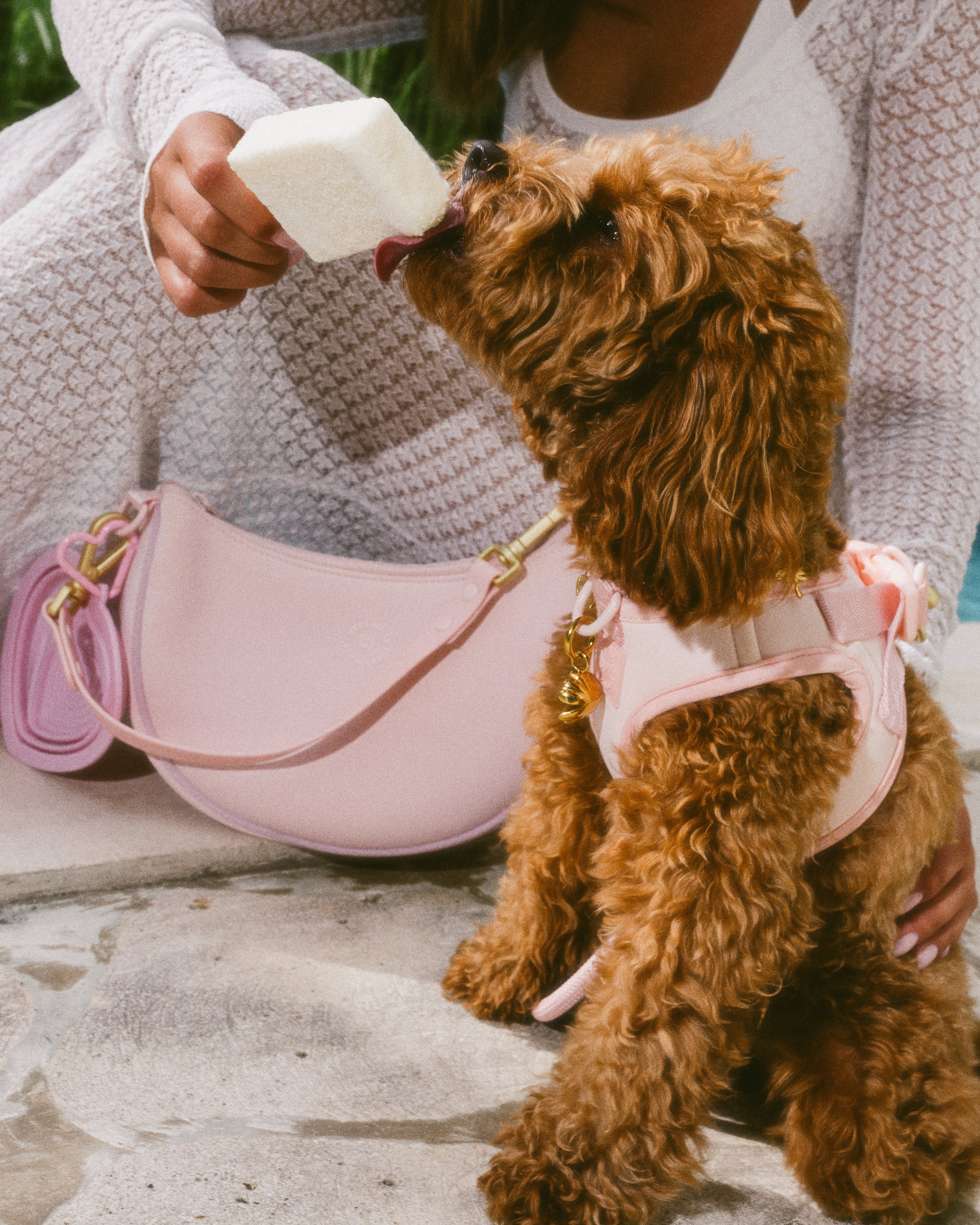 Step and Go Harness - Blossom