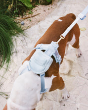 Pace Mini Backpack - Sky