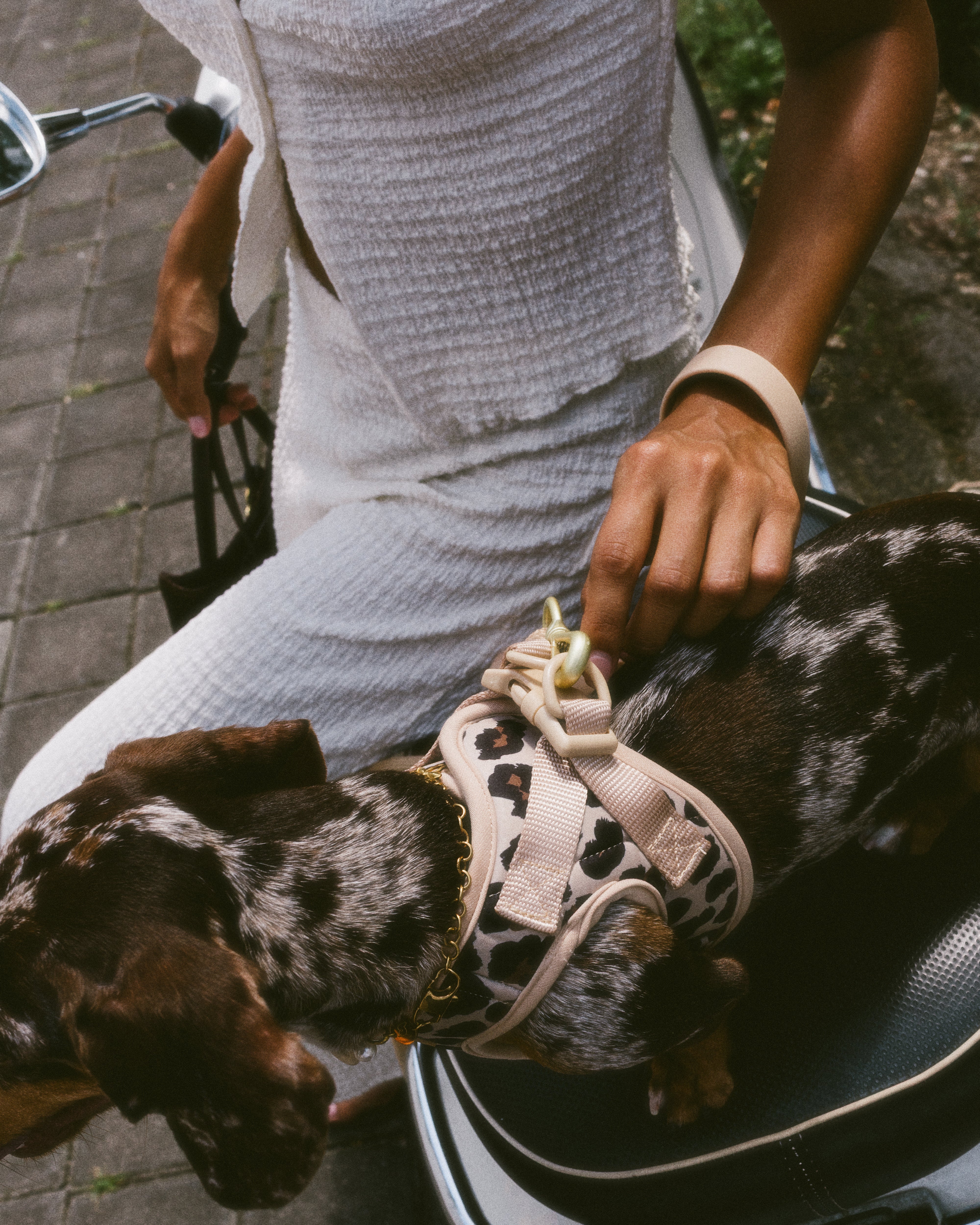 Step and Go Harness - Latte Leopard