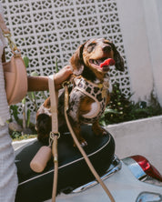 Step and Go Harness - Latte Leopard