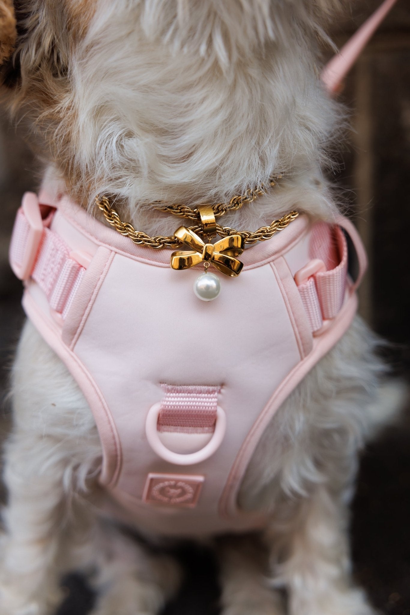 Grace Jewelry Set - FURRY MUSE Grace - Kit - S - S