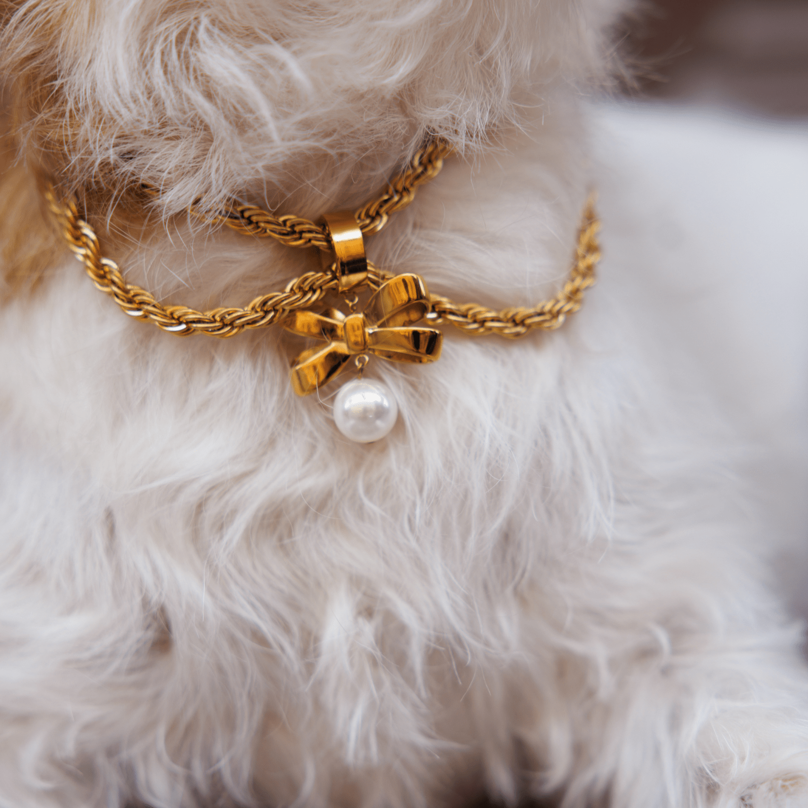 Grace Jewelry Set - FURRY MUSE Grace - Kit - S - S