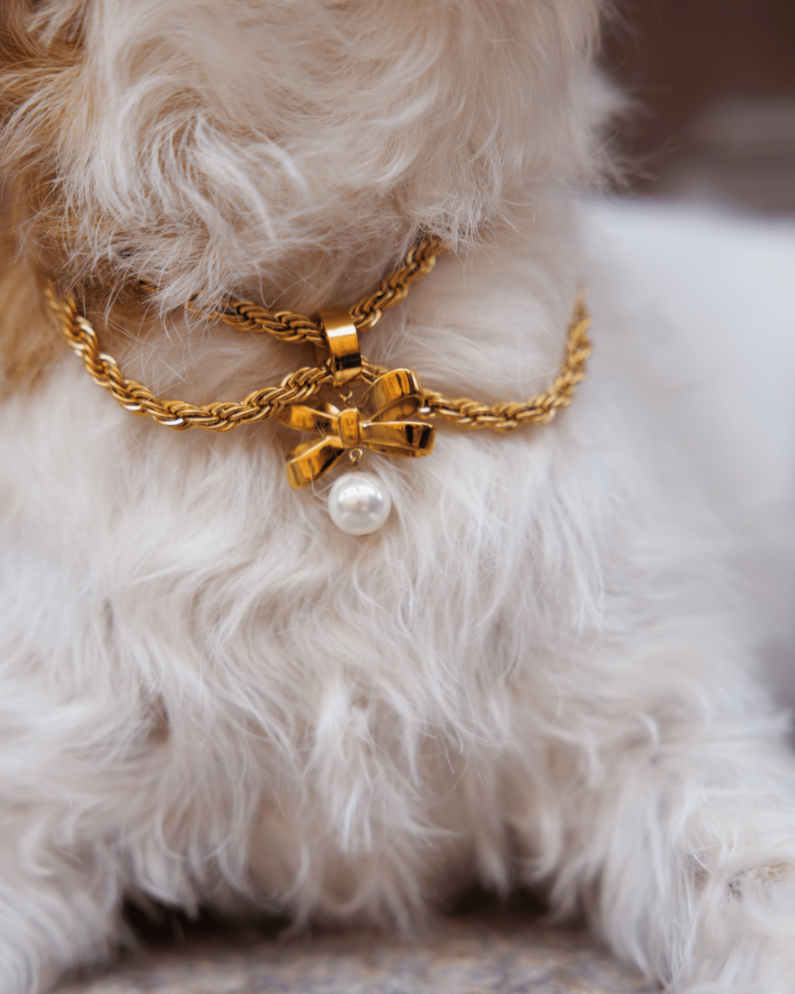 Grace Jewelry Set - FURRY MUSE Grace - Kit - S - S
