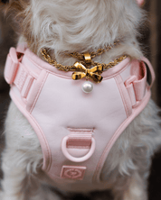 Grace Necklace - FURRY MUSE SS25 - NK - M03 - S