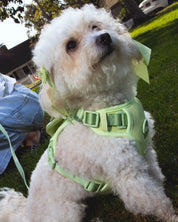 Wander! Bow Harness 2.0 - Matcha