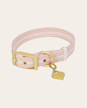 Wander! Collar Kit - Lemonade Stripe