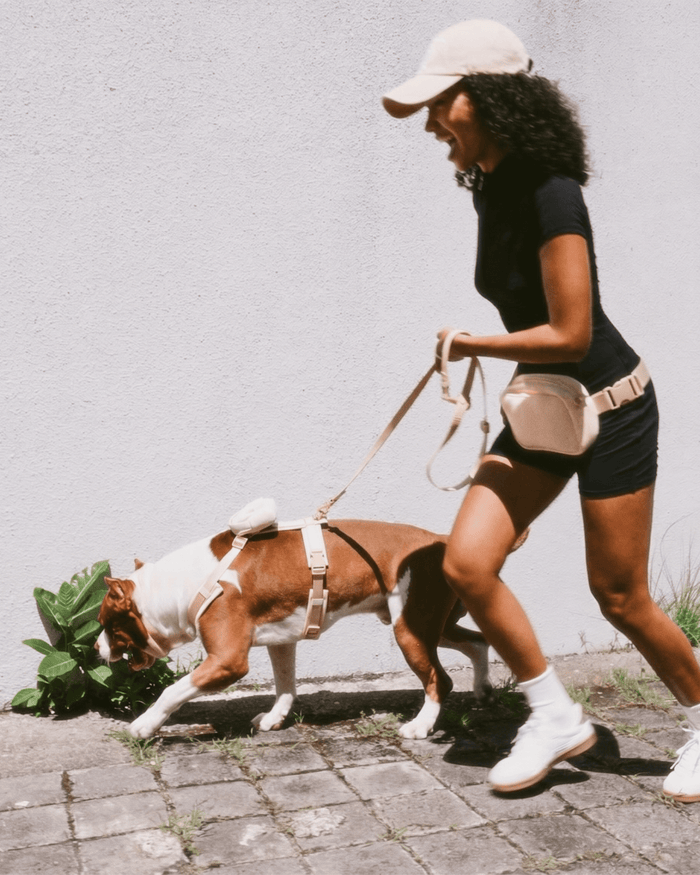 Level Up Belt Bag - Latte - FURRY MUSE BB-OS-BEI