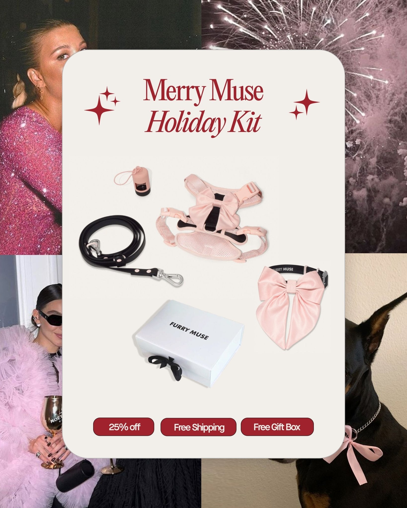 Merry Muse Holiday Kit - Ballerina - FURRY MUSE Merry - Kit - BK - XS - S