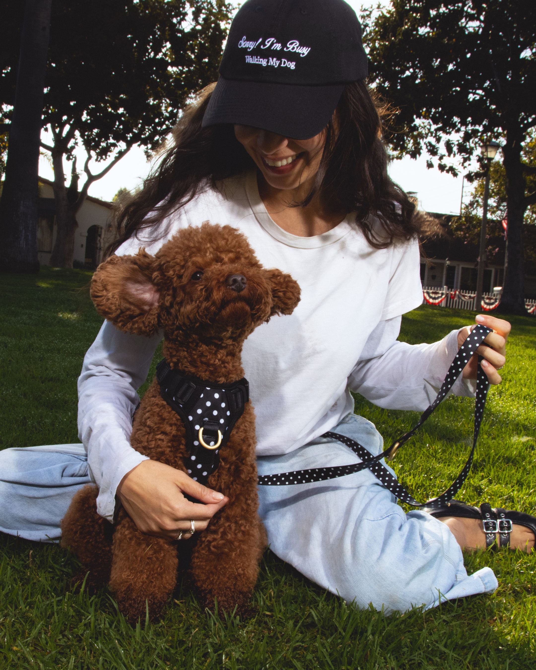 Wander! Bow Harness 2.0 - Midnight Polka Dot