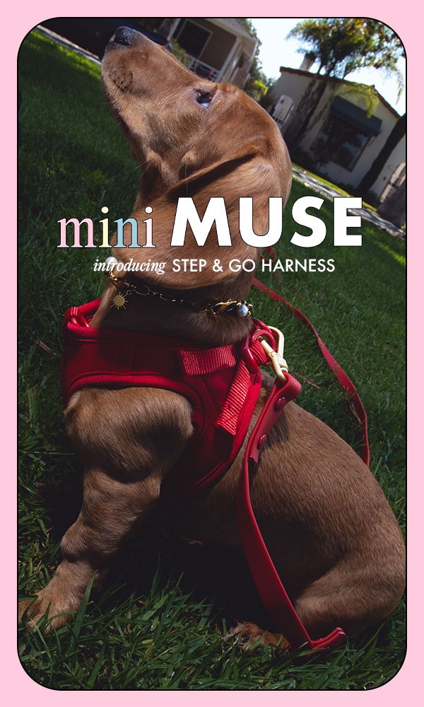 mini-muse-new-banner-compressed.jpg
