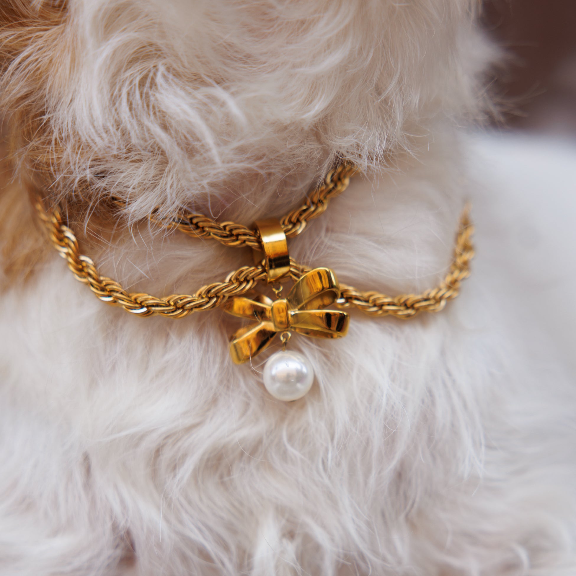 1. Luxury Materials