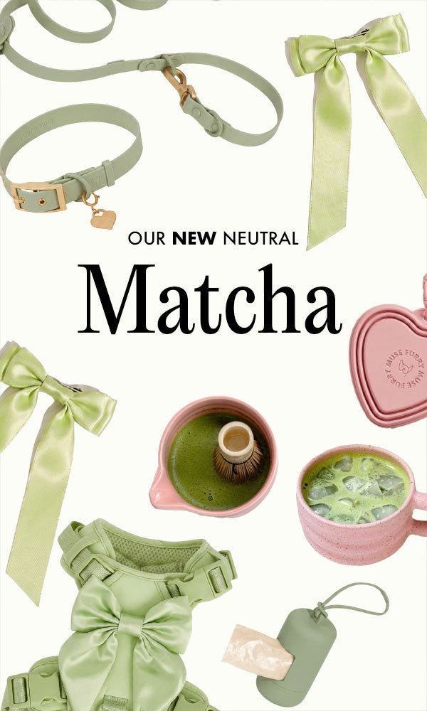 new-neutral-matcha_2e15926c-3461-489a-8488-8d35301136b8.jpg