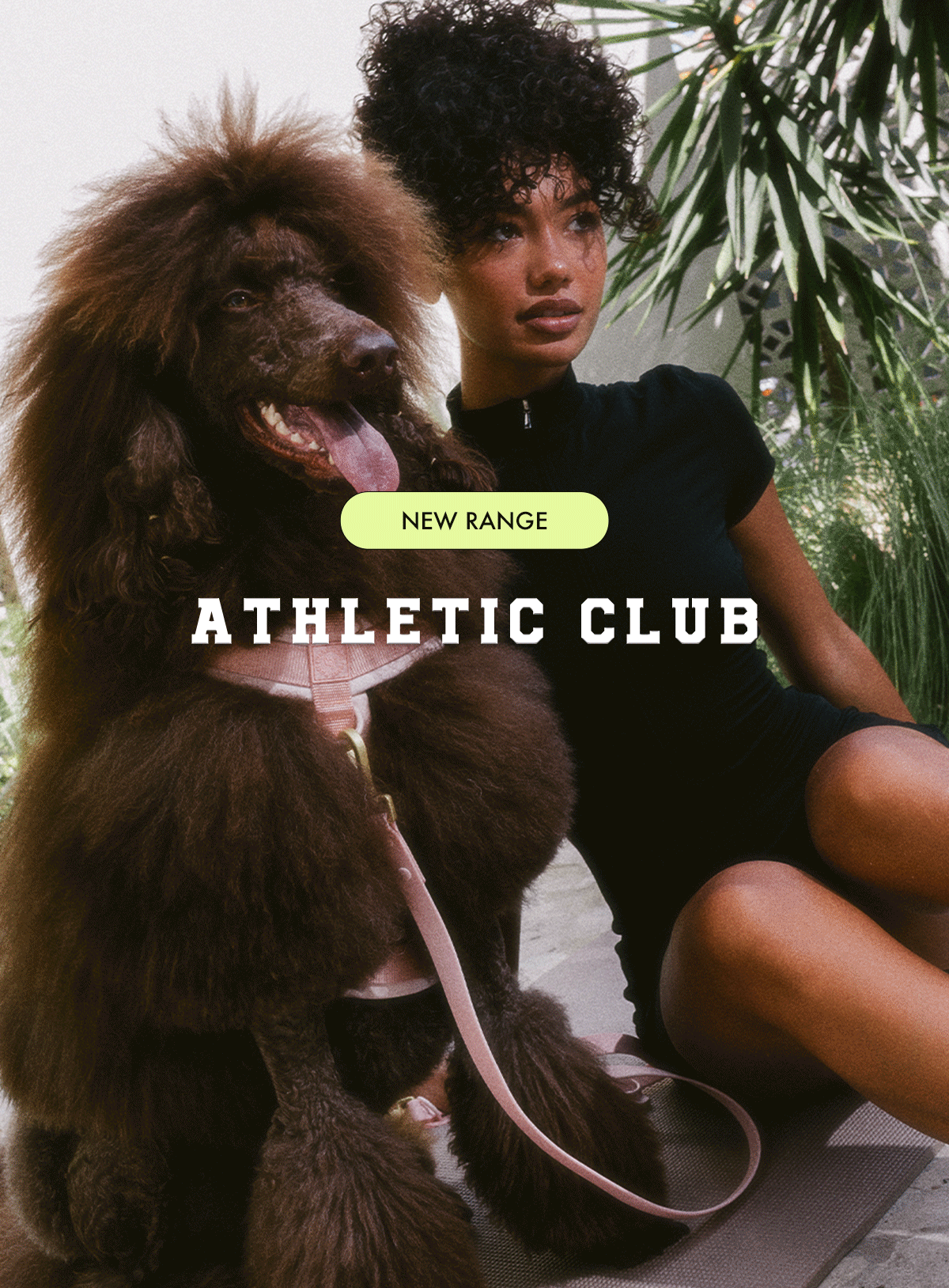 new-range.gif