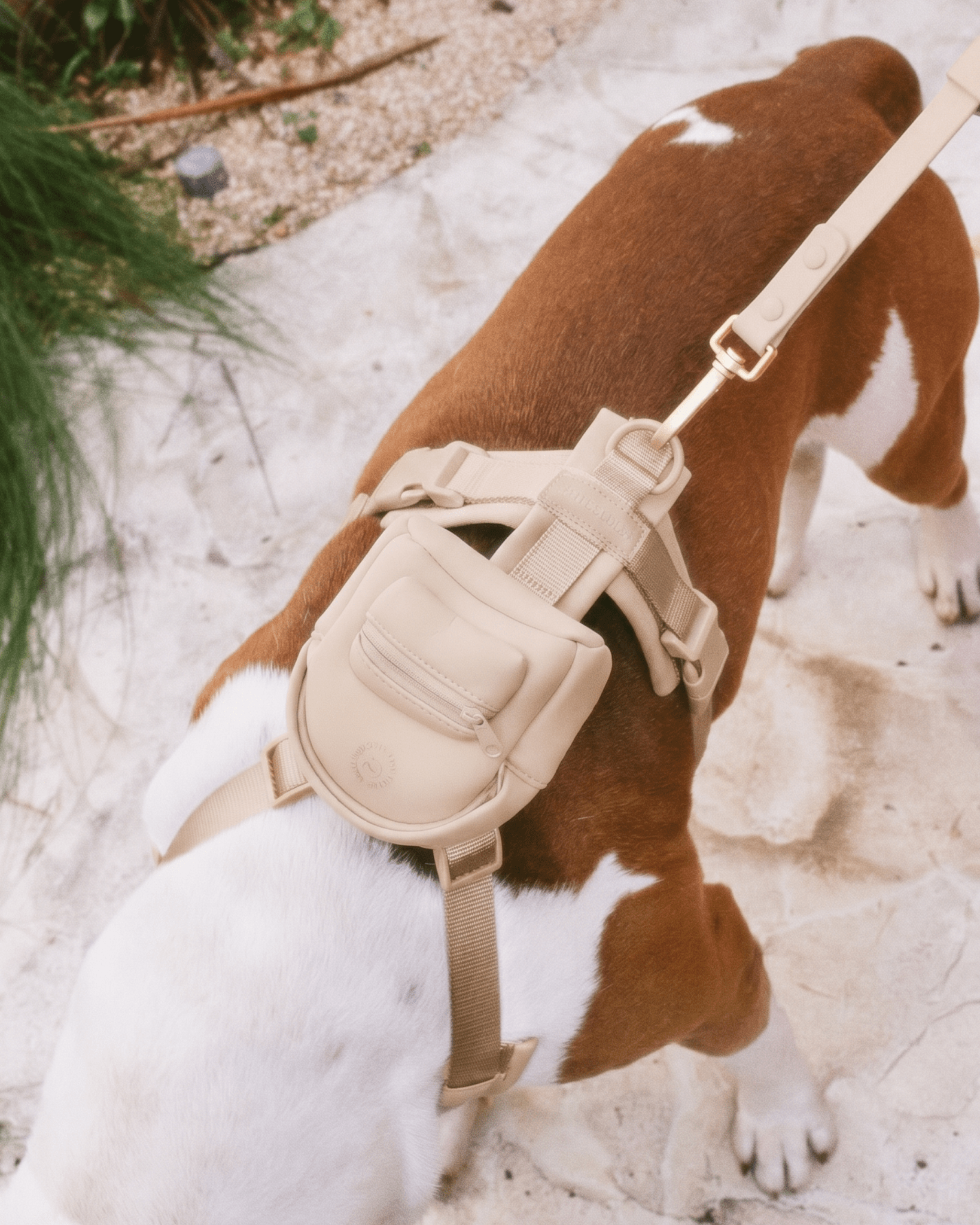 Pace Mini Backpack - Latte - FURRY MUSE BPB-MINI-S-BEI