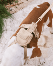 Pace Mini Backpack - Latte - FURRY MUSE BPB-MINI-S-BEI