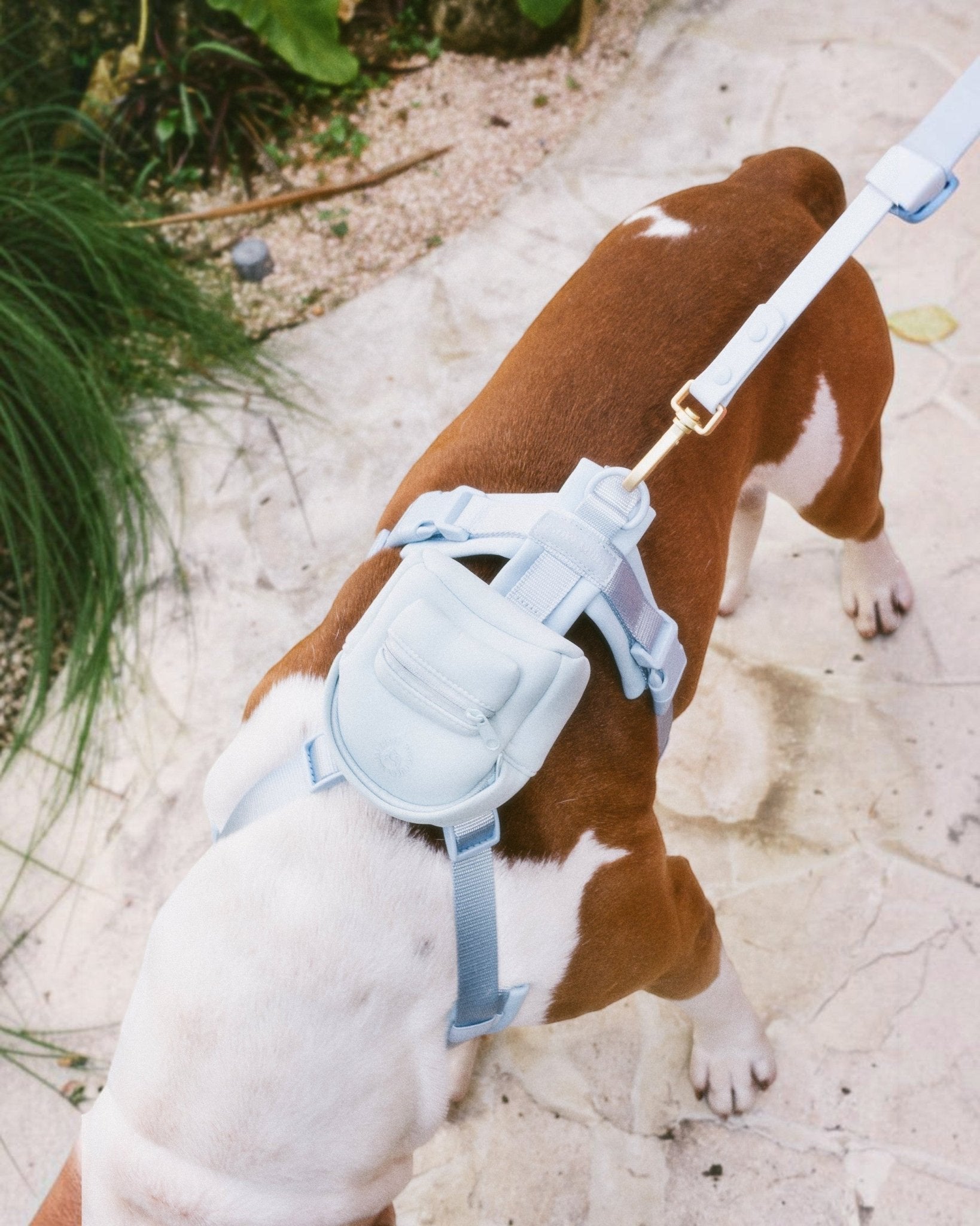 Pace Mini Backpack