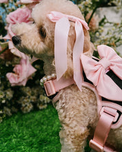 Petite Bow Clips - Blossom - FURRY MUSE WAN-HAC-OS-PN
