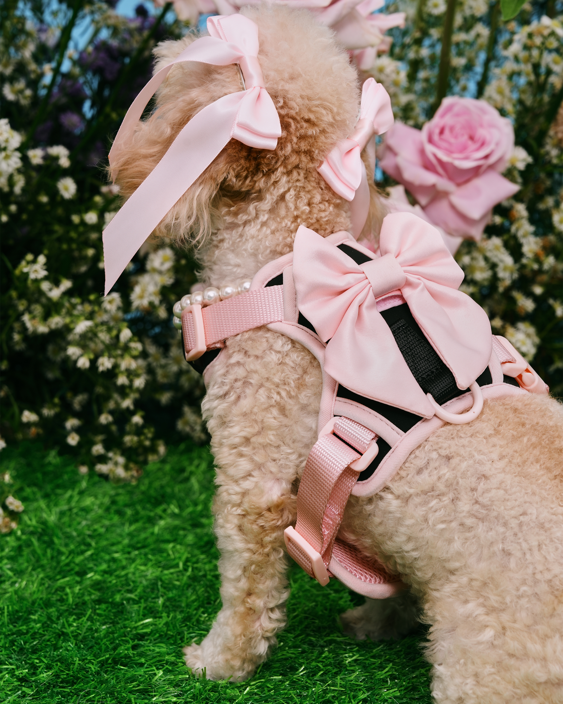 Dog Harness with Bow | Furry Muse Ballerina Coquette Style – FURRY