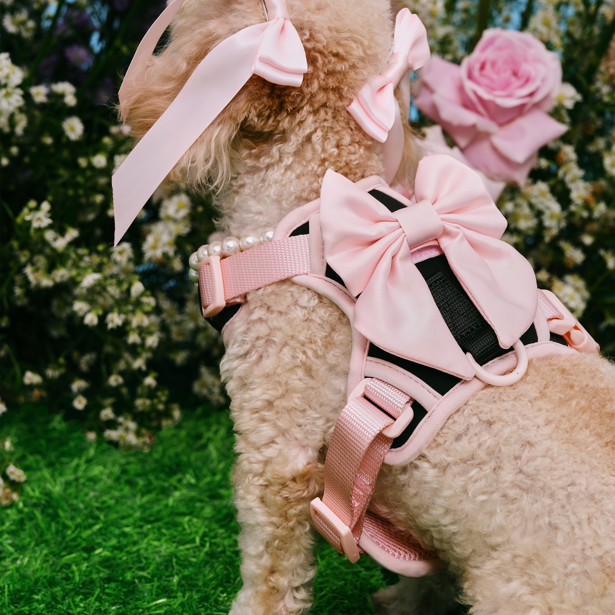Petite Bow Clips - Blossom - FURRY MUSE WAN - HAC - OS - PN