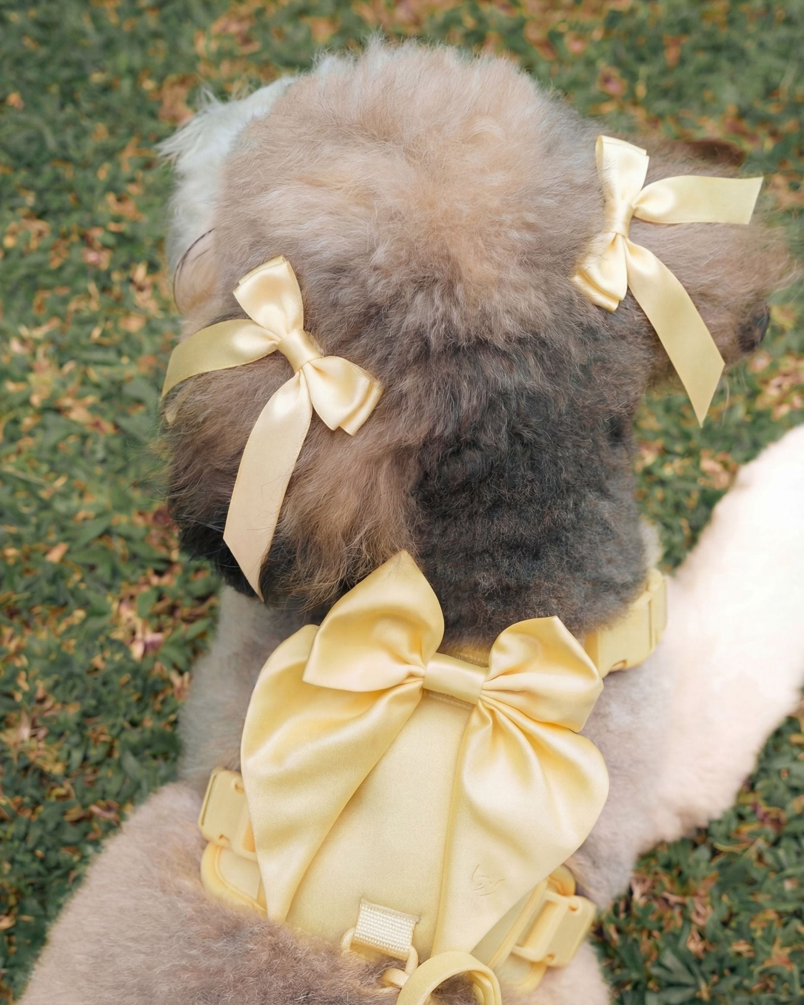 Petite Bow Clips - Buttercream - FURRY MUSE WAN-HAC-OS-YL