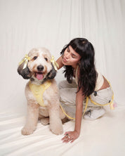 Petite Bow Clips - Buttercream - FURRY MUSE WAN-HAC-OS-YL