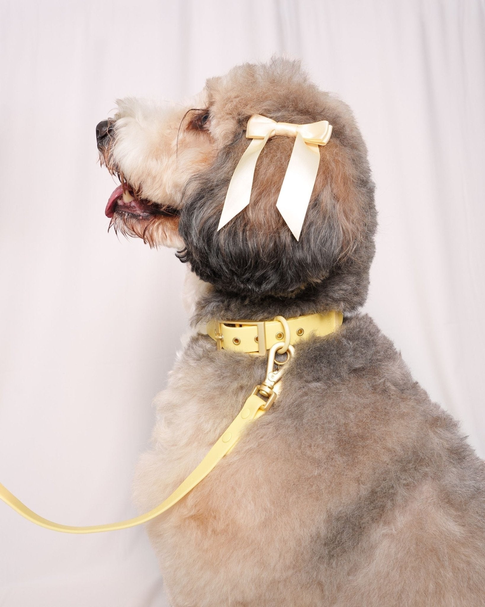 Petite Bow Clips - Buttercream - FURRY MUSE WAN-HAC-OS-YL