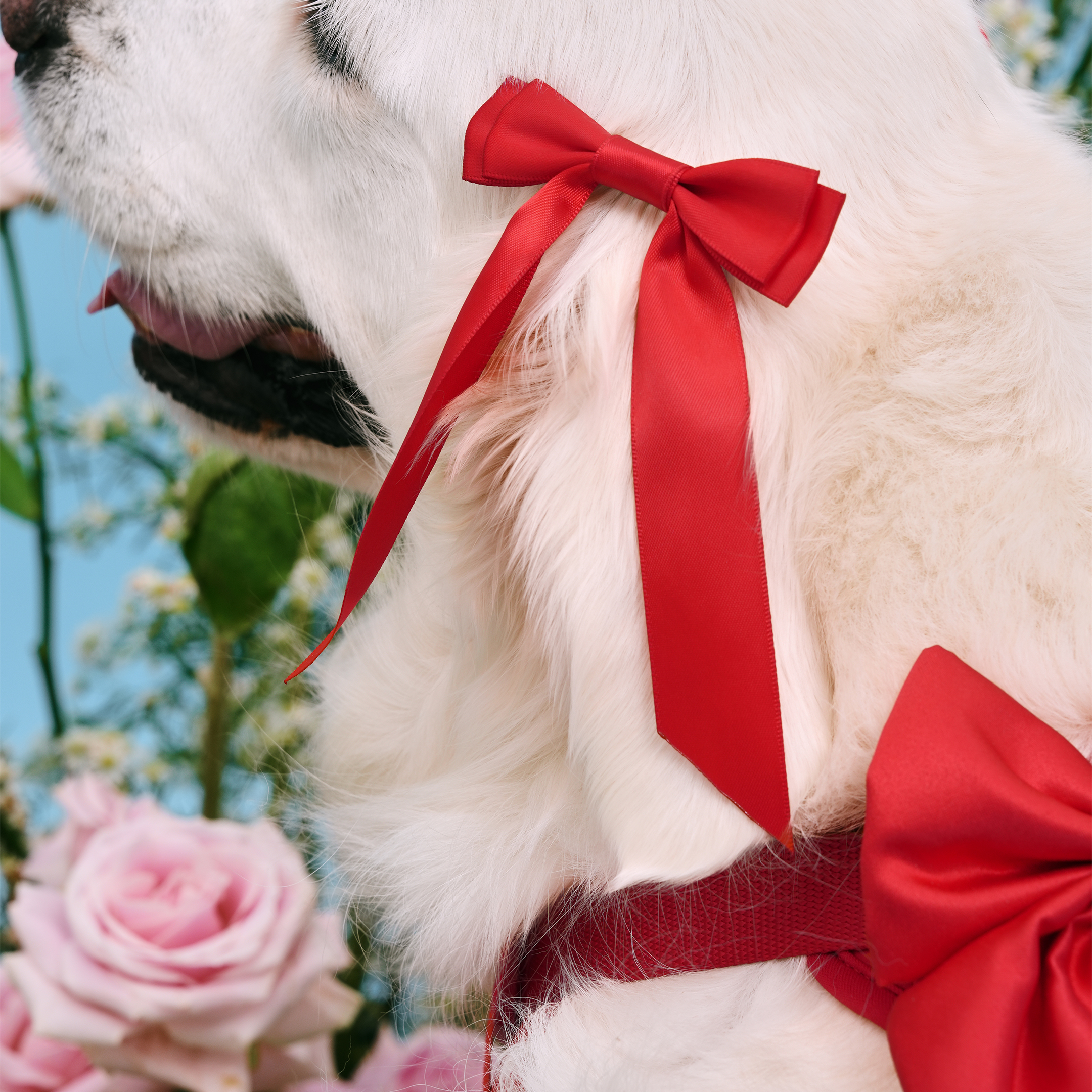 Petite Bow Clips - Cherry - FURRY MUSE WAN - HAC - OS - RD