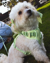 Petite Bow Clips - Matcha - FURRY MUSE WAN-HAC-OS-GR