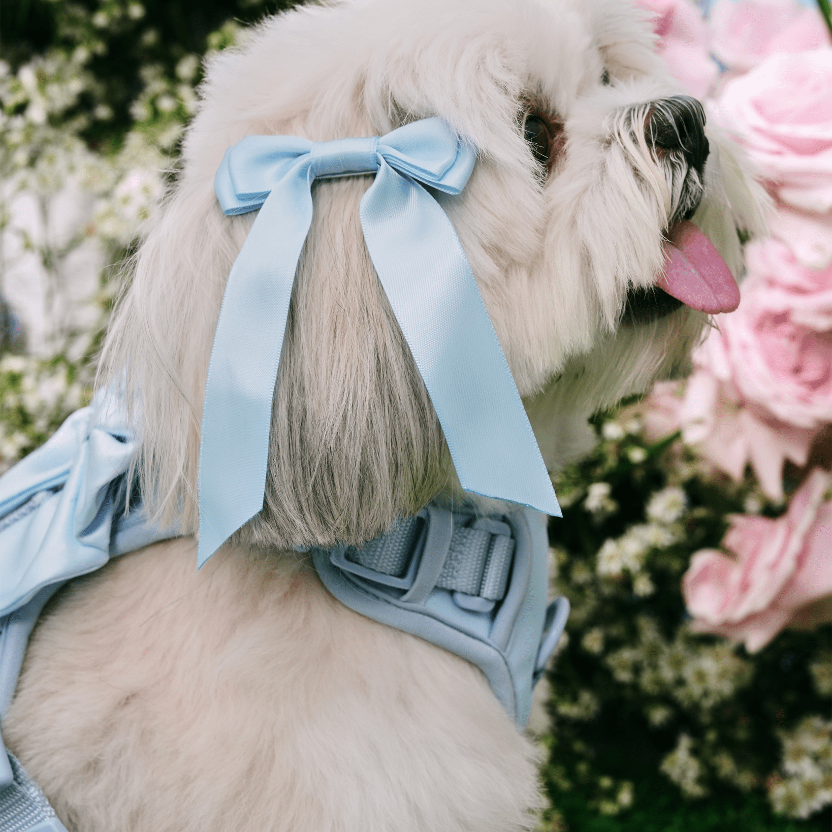 Petite Bow Clips - Sky - FURRY MUSE WAN - HAC - OS - BL