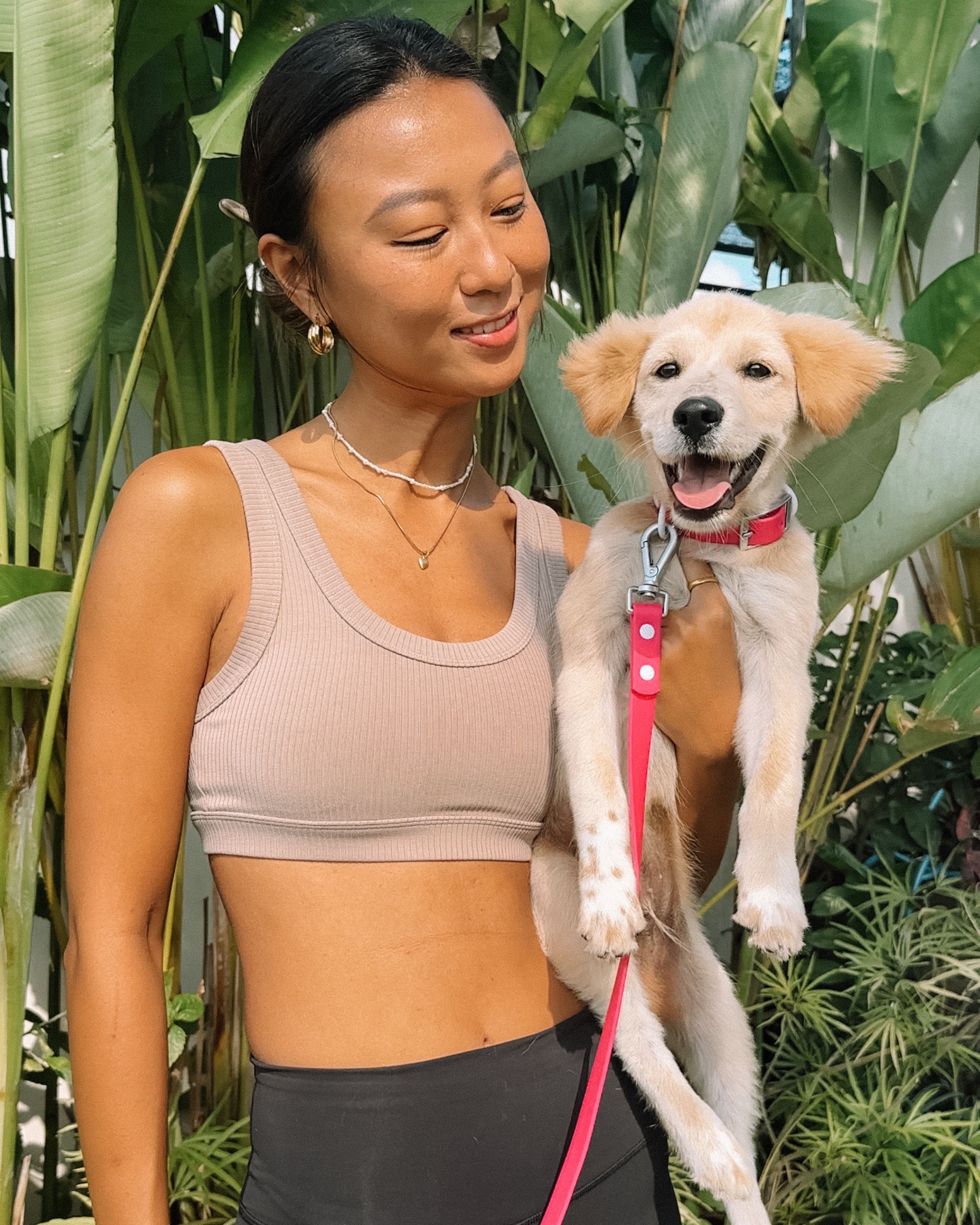 Wander! Multiway Waterproof Leash Petunia