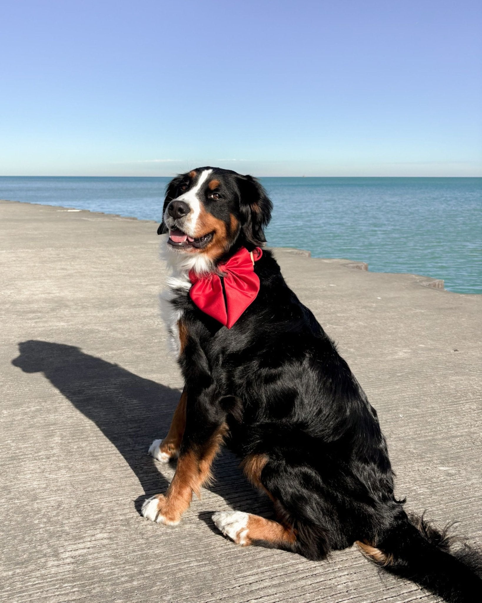 Satin Collar Bow - Cherry - FURRY MUSE WAN-BOW-S-RD